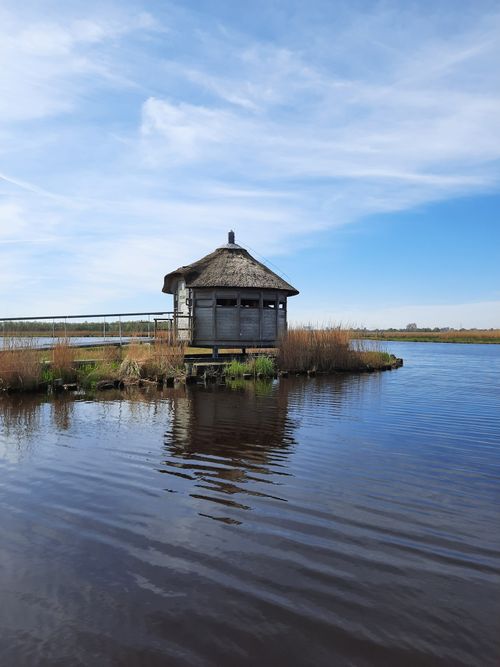 De vogelkijkhut in het Ilperveld vanaf het water.