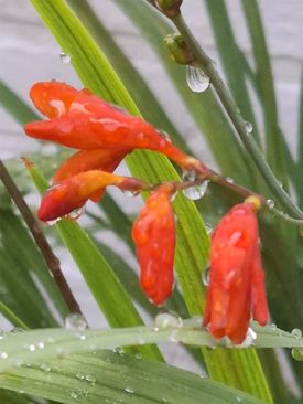 Expositie Ester Ostoja: De magie van de natuur