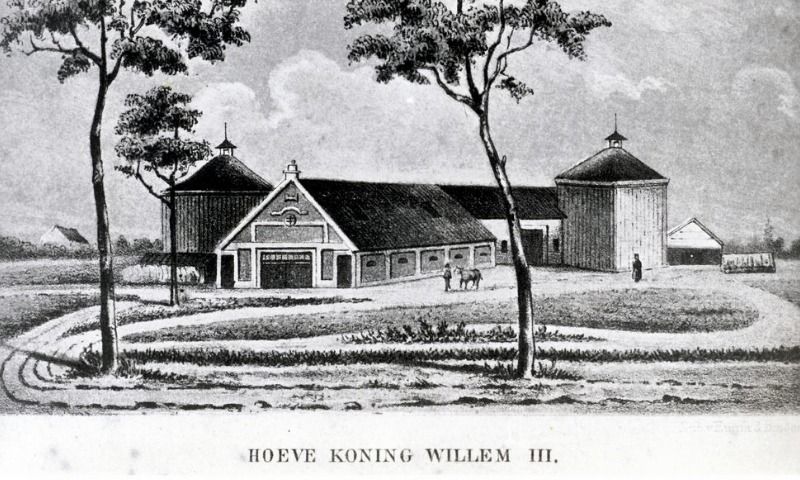 Hoeve Koning Willem III prent