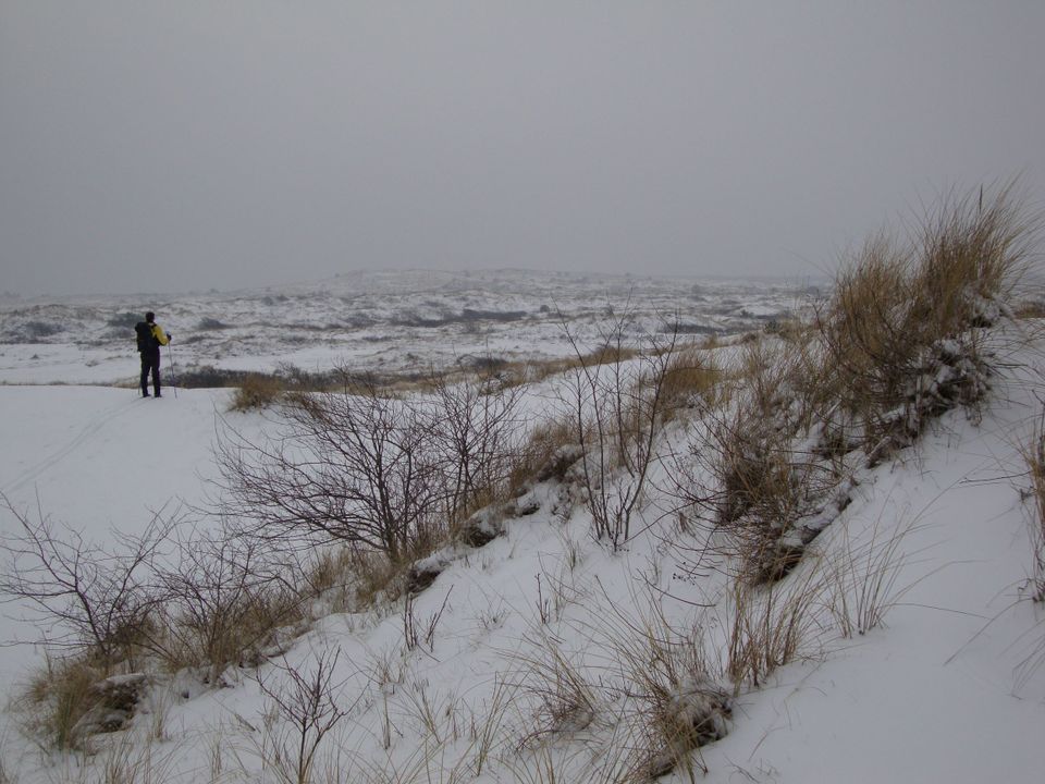 Langlaufen op Vlieland