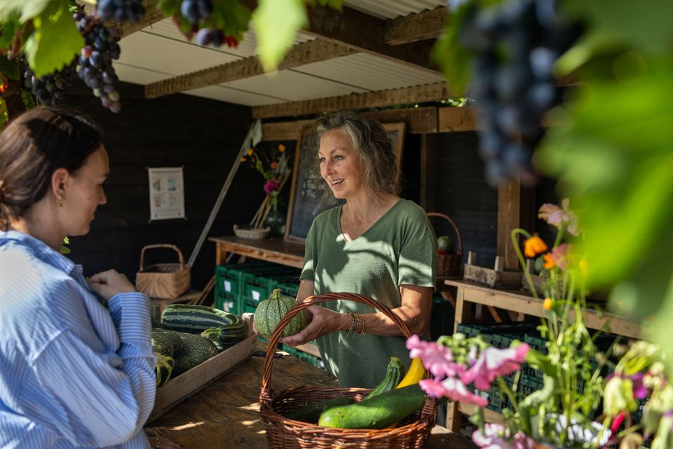 Landgoed Hof van Gunterstein in Breukelen, gemeente Stichtse Vecht, regio Utrecht. Verkoop van verse groenten bij een landelijke kraam, waar een vrouw een pompoen aan een bezoeker laat zien tussen manden met courgettes, bloemen en druiven.