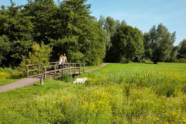 Wandelaars met hun hond in Hemmeland