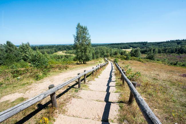 Uitzicht vanaf de lange trap over recreatiegebied Kwintelooijen bij Rhenen. Het afwisselende landschap bestaat uit hoogteverschillen, heide, graslanden en bos.