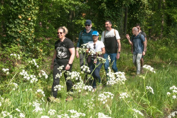 Voorjaarswandeling en Trailrun