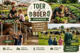 Toer de Boer, Fam Hop,