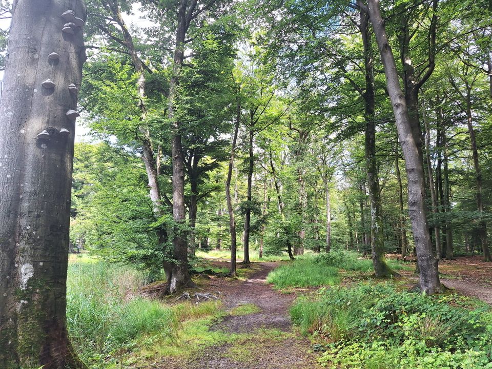 Beleefroute: in adellijke voetsporen