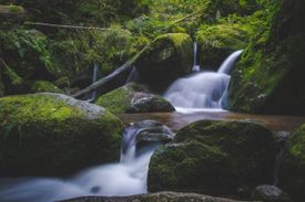 Foto-expositie "water" van Johan van Esch in Bibliotheek Best