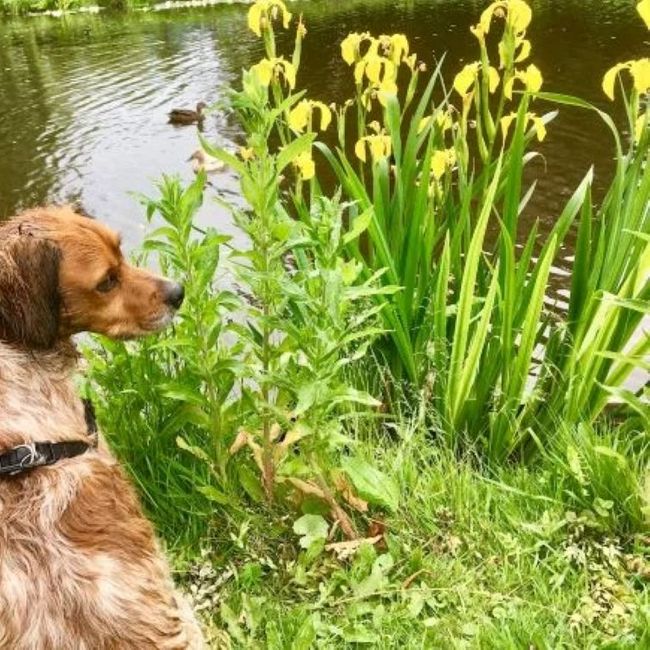 Toneelgroep Morgana 'Zoek!'