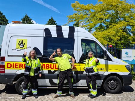 Hulpverleners met de dierenambulance
