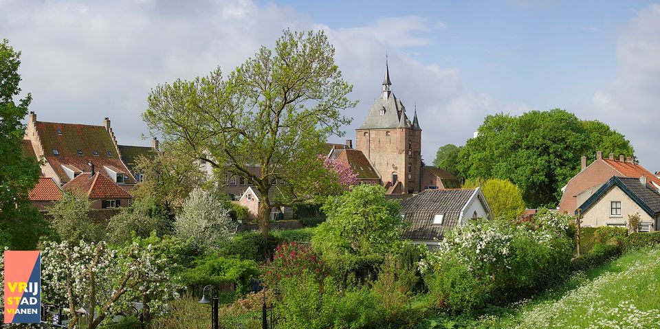 Zicht op Vianen