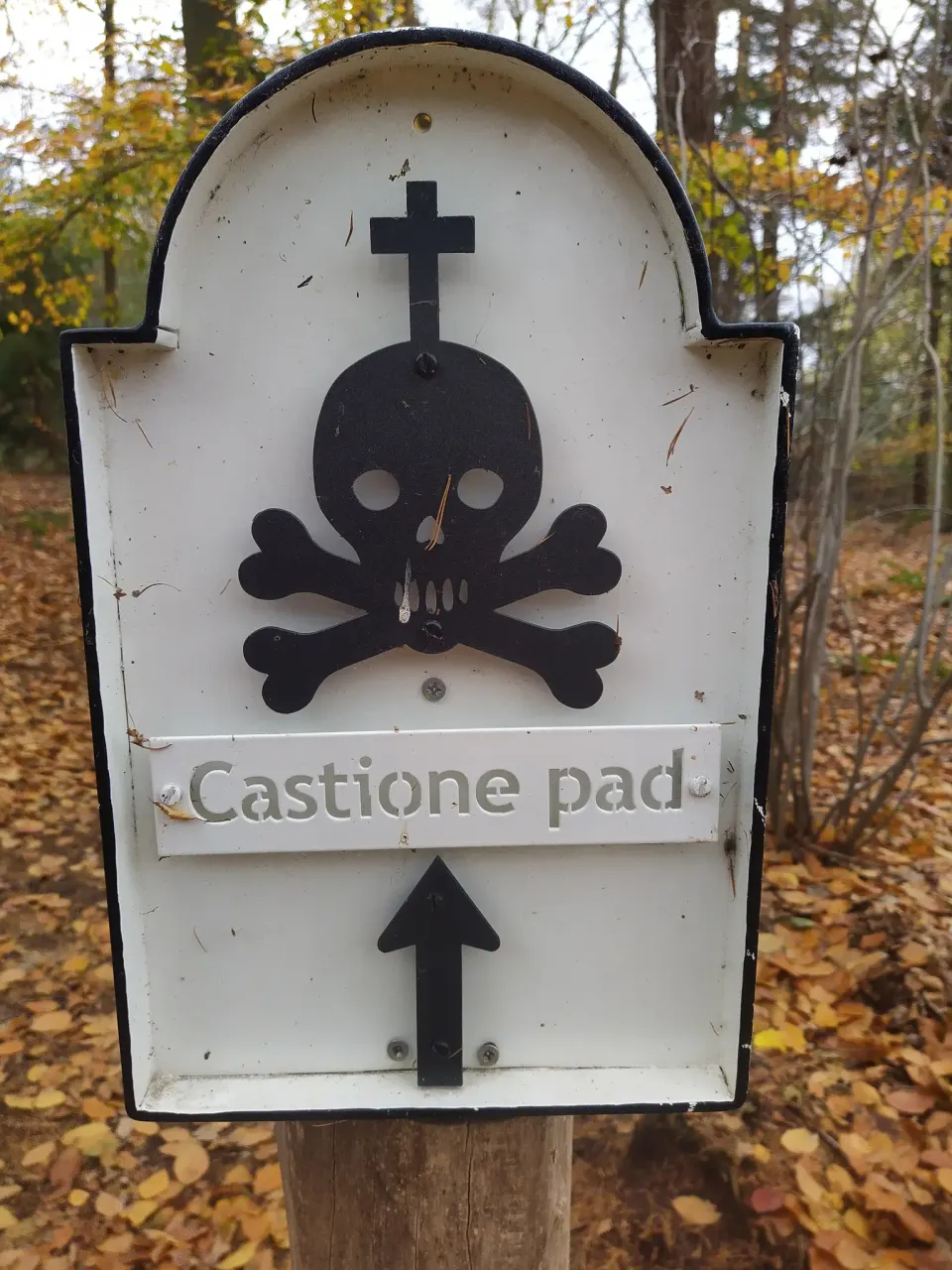 Castione pad