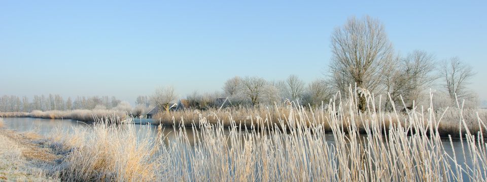 Een winterlandschap in de Eilandspolder