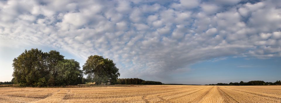 Panorama hunebed en veld.