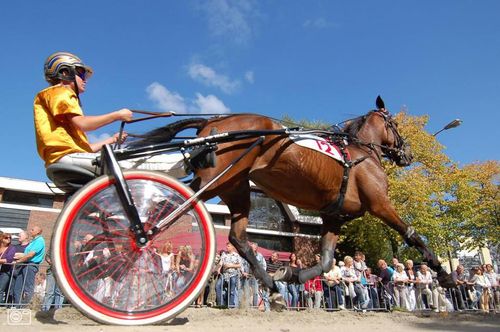 Traditionele Harddraverij Purmerend