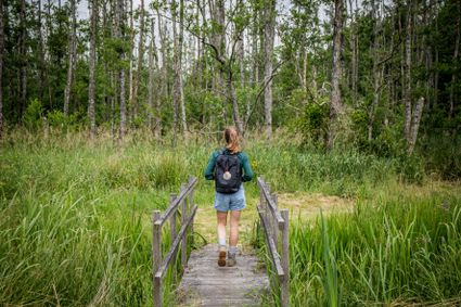 Wandelen in de natuur in Friesland