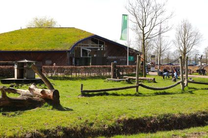 bezoekerscentrum met groen dak
