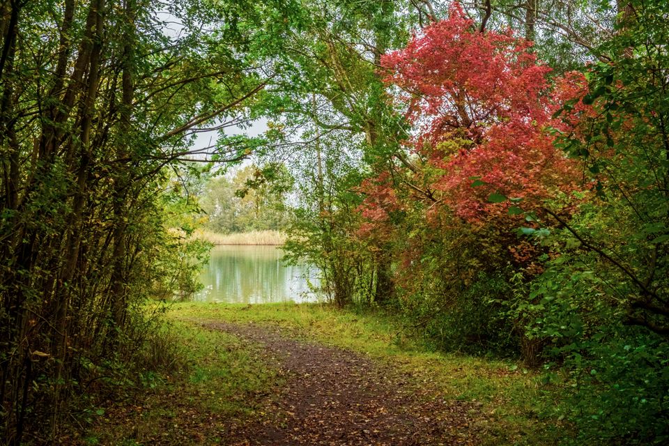 Krekengebied Ouwerkerk