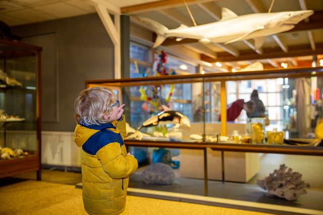 Kindje is onder de indruk van onze blauwe haai.