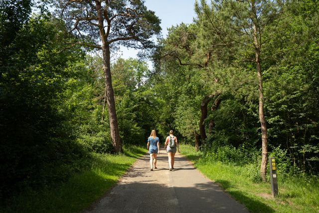 Twee wandelaars in het Panbos