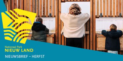 Banner NP NL emailnieuwsbrief - editie herfst 2026