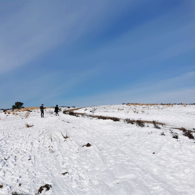 Langlaufen op de heide