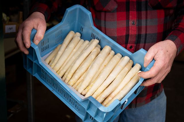 Asperges in een krat