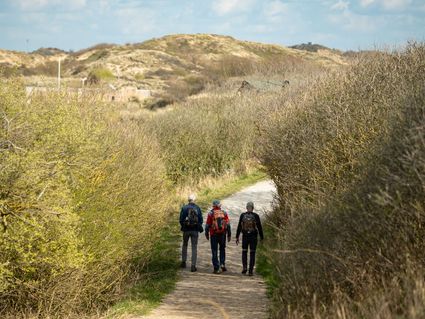 Wandelaars in de duinen van Katwijk