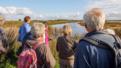 7 oudere mensen kijken tijdens hun wandeling uit over water en oevers.