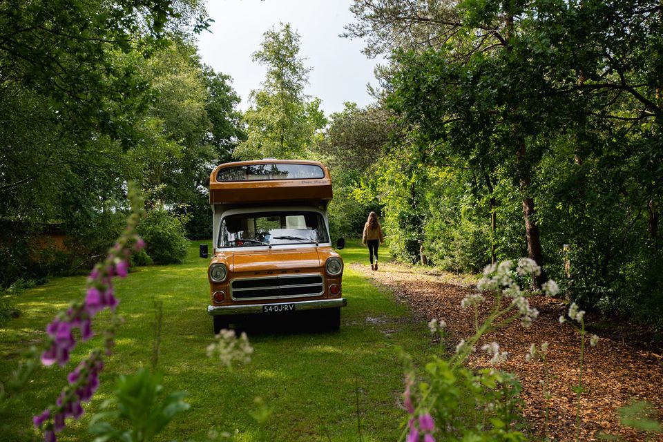 Een kampeerbusje staat op een grasveld tussen de bomen op een natuurkampeerterrein in Drenthe. Een vrouw loopt over het pad bij de kamper vandaan.