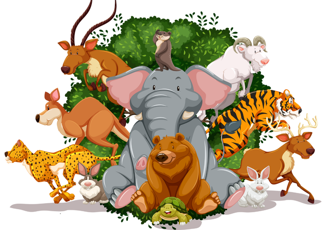 Wilde dieren-voorlezen voor peuters