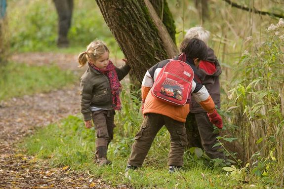 Dierenvriendjespad Drents-Friese Wold