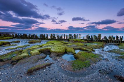 Zonsondergang waddengebied.