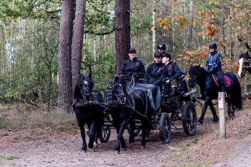 Ontdek de Kempen te paard!