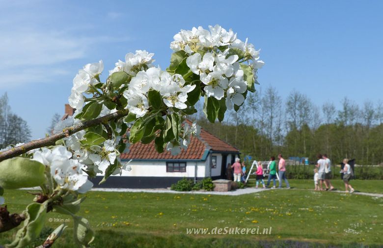 Lente met paasspeurtocht bij museum De Sukerei