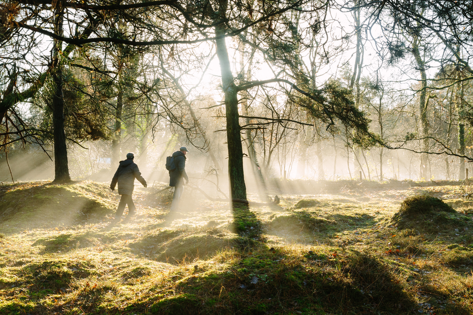 Zwei Personen laufen im Morgennebel durch einen Wald in Drenthe. Es ist kalt, sie tragen einen Hut und Handschuhe.