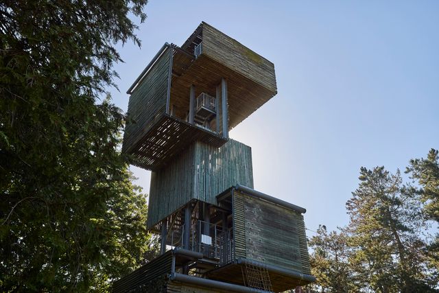 Uitkijktoren bij OutdoorPark Reusel