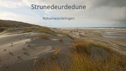 Wandeltochten met Strunedeurdedune