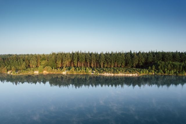 Een grote waterplas met bomen op de achtergrond.