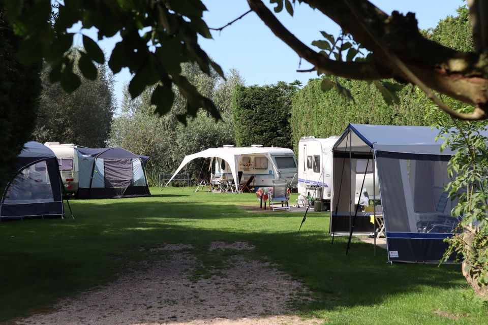 Photo of the forest field at Hoeve Rustdam Campground