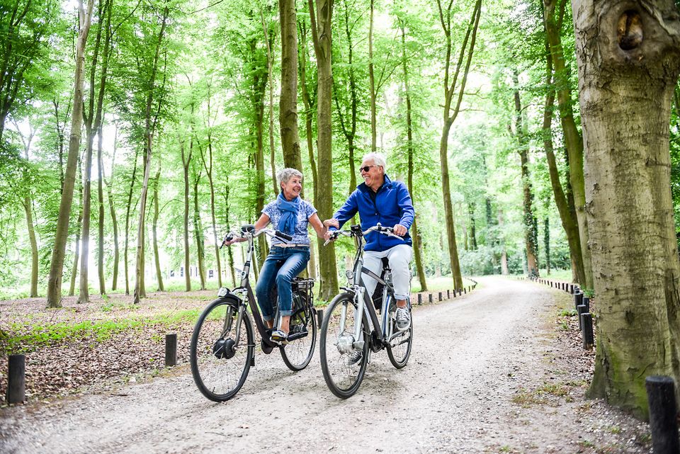 Fietsen door het bos op de Utrechtse Heuvelrug