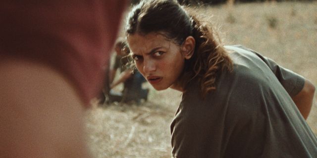 Film | Le Royaume