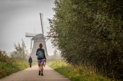 Wandelaar met rugzak die over een smal pad door een groen landschap loopt, met andere wandelaars verderop en een traditionele Nederlandse molen zichtbaar in de mistige achtergrond.