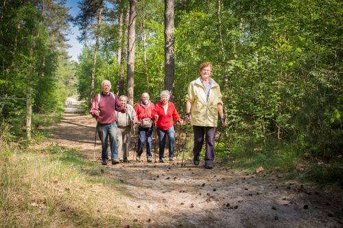 Een groepjes dames en heren wandelt in het bos met Nordic Walking stokken.