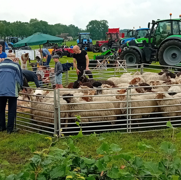Boer'n lentefair