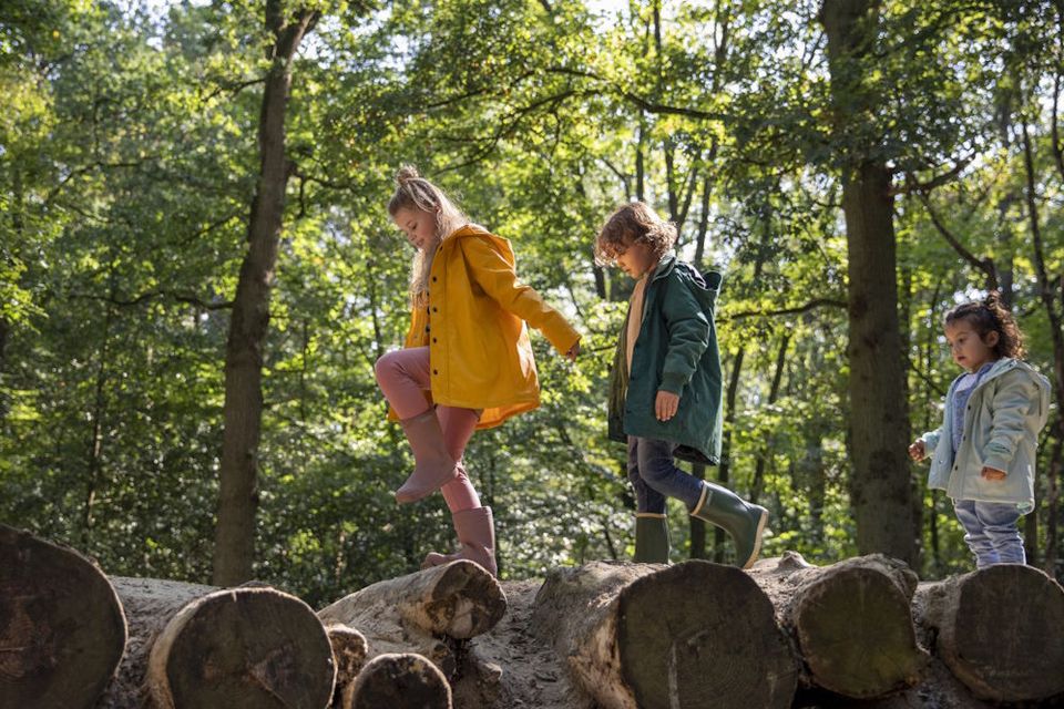 Kinder balancieren auf Baumstämmen in einem Wald in Drenthe.