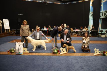 Clubmatch | Kynologenclub Winterswijk 2026