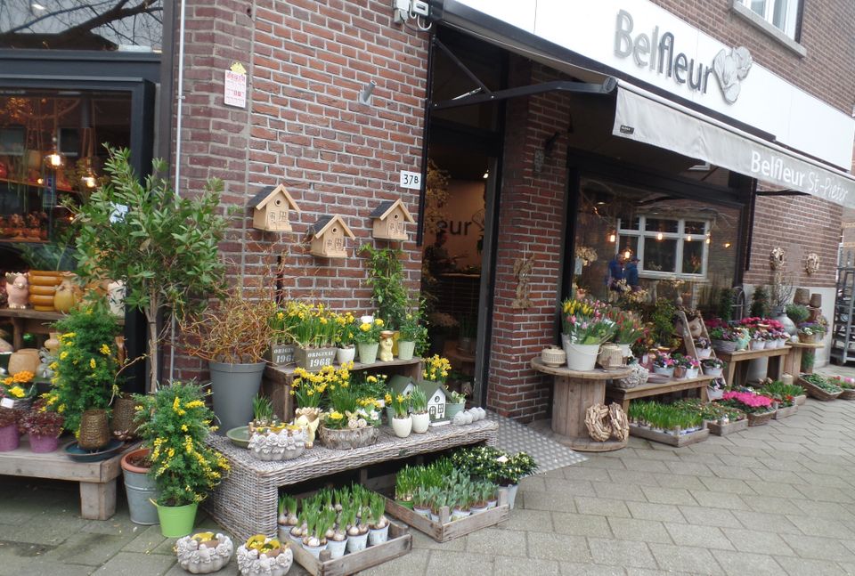 Belfleur Sint Pieter Maastricht