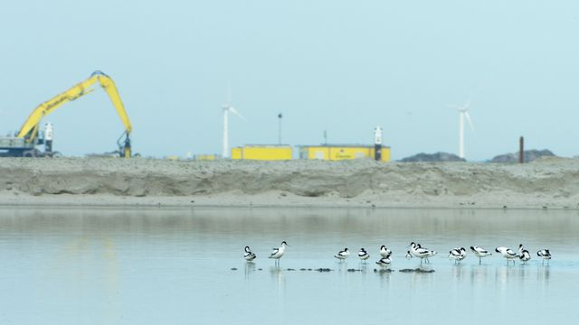 Nederland krijgt er een nieuwe eilandengroep bij: Marker Wadden. In het Markermeer verrijst een archipel van natuureilanden. Marker Wadden zorgt ervoor dat de natuur in het gebied weer opleeft. Hier ontstaat een natuurparadijs voor vogels, vissen en mensen.