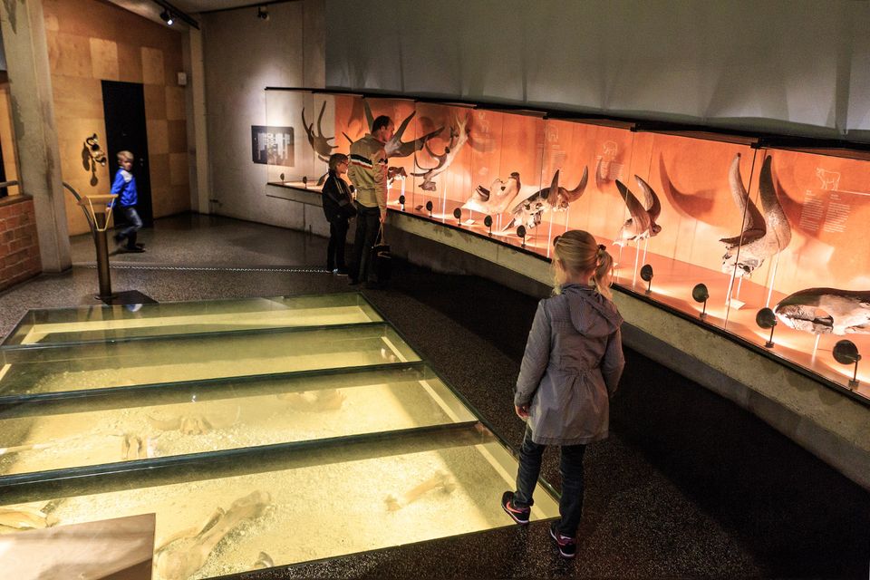 Museonder - NP de Hoge Veluwe - BezoekEde