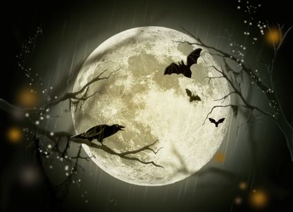 Spookbos